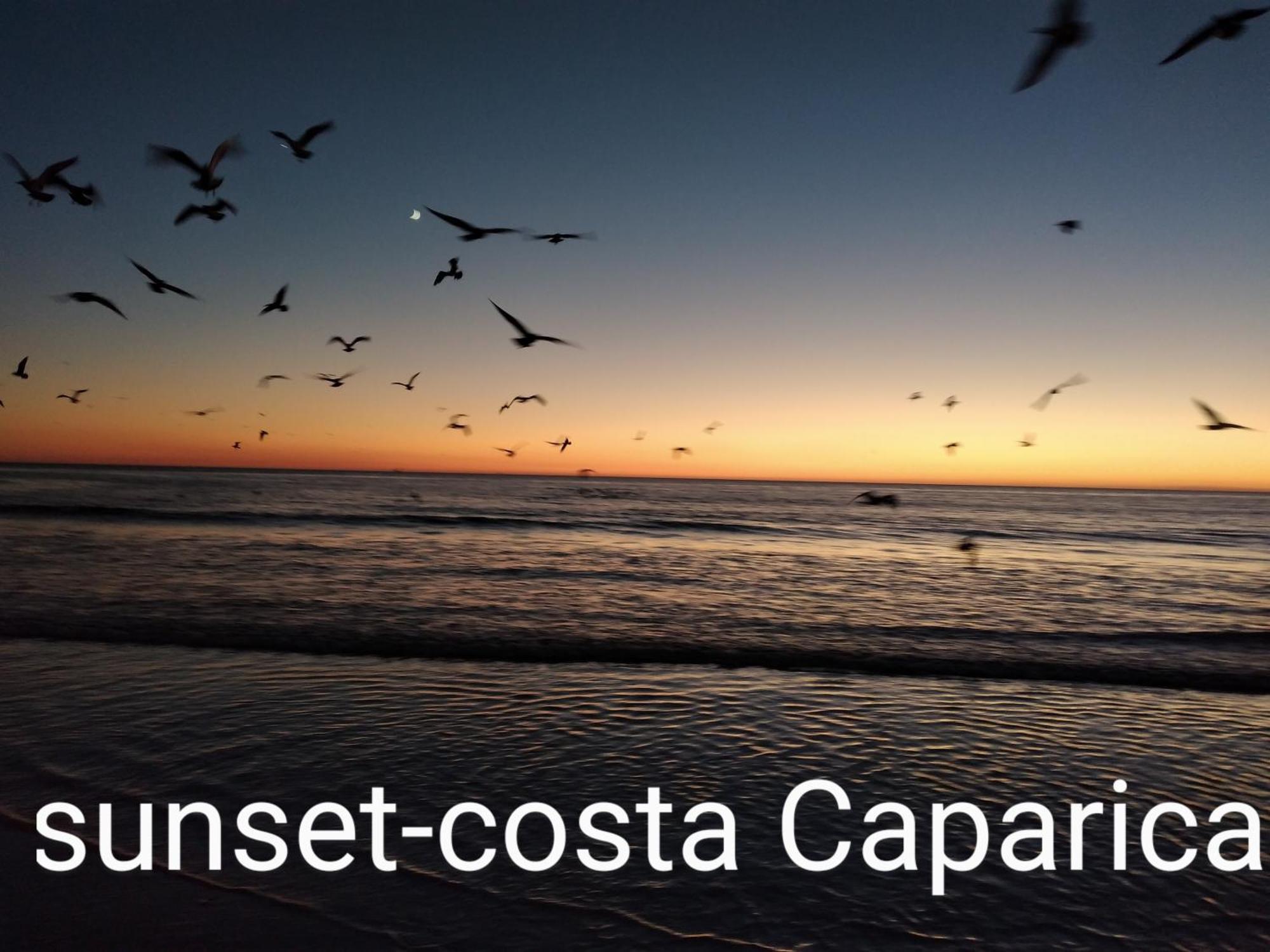 Apartamento Para Ferias 2 Minutos Da Praia Costa Da Caparica Costa da Caparica Exterior foto